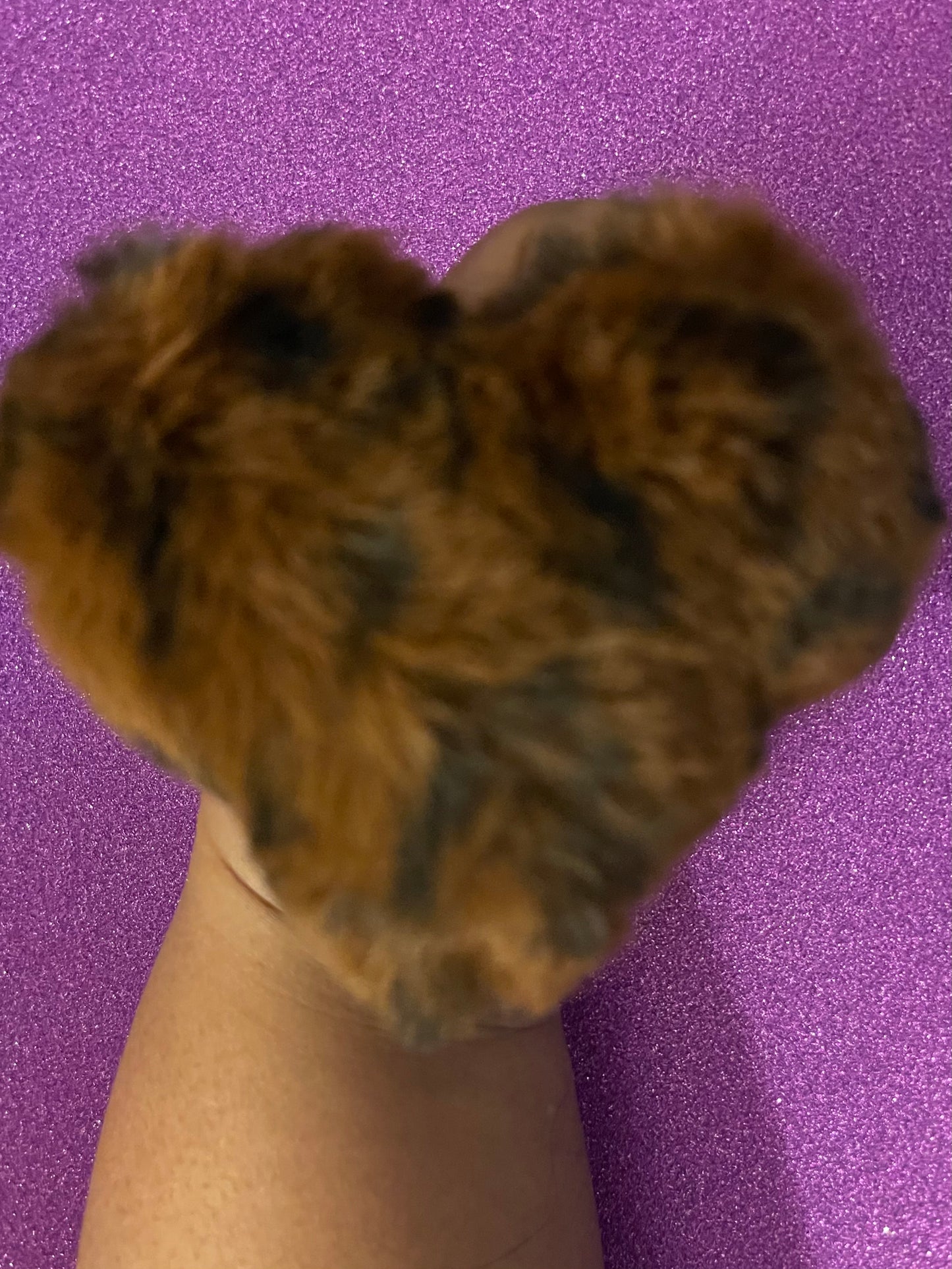 Heart-shaped Animal Print Pom Pom Keychain